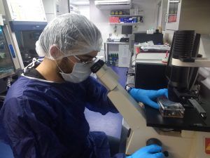 CIENCIA