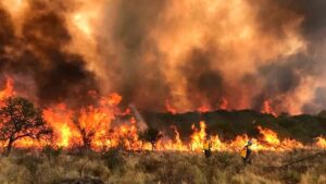 INCENDIOSCORDOBA