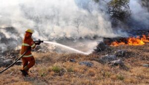 Incendios-Cordoba