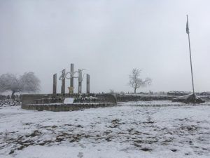 MOLLARNEVADO