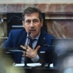 Naidenoff dijo que Milei «mea en la cara» del radicalismo
