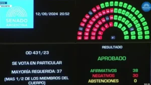 boletaunicasenado