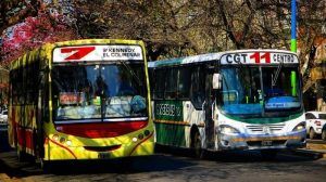 colectivos