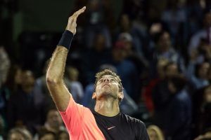 delpotro