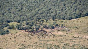 Desmontes en Chaco