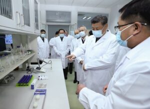 laboratorioCHINOS